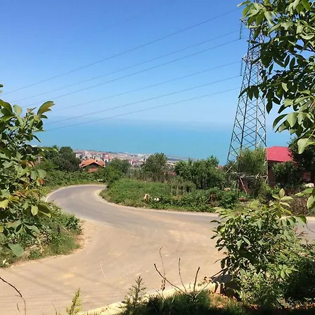 Menekse 2 Trabzon
