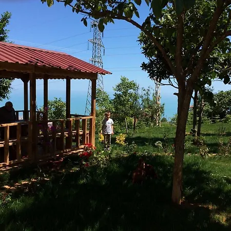 Menekse 2 * Trabzon